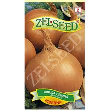 CIBULE ZIMNÍ Hibernate 2g - ZELSEED | FLORASYSTEM