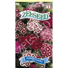 ZELSEED - Květiny trvalky | FLORASYSTEM