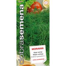 Kopr vonný MORAVAN 3g - FLORASYSTEM