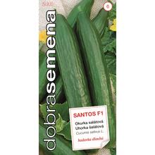 Okurky SANTOS F1 10s - DOBRÁ SEMENA | FLORASYSTEM