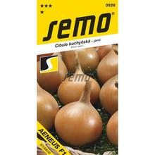 CIBUĽA AENEUS F1 - žltá, jarná 2,5g - SEMO | FLORASYSTEM