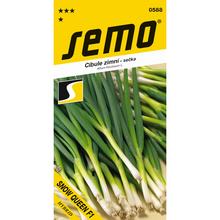 CIBULE SM CS 01 (SNOW QUEEN F1) 1,5g - SEMO | FLORASYSTEM