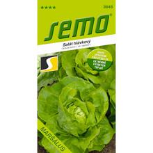 SALÁT HL. MARŠÁLUS 0,5g - SEMO | FLORASYSTEM