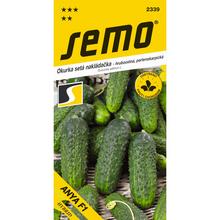 Okurka nakládačka Anya F1 (SM 5341 F1) - SEMO | FLORASYSTEM