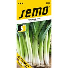 PÓR PESTOVANÝ BYSTRÍN F1 2g - SEMO | FLORASYSTEM