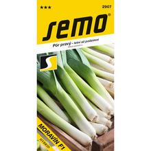 PÓR PESTOVANÝ MORAVÍN F1 2g - SEMO | FLORASYSTEM