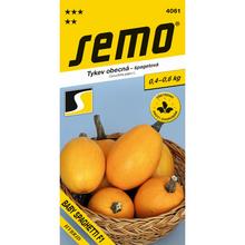 TEKVICA BABY SPAGHETTI F1 1,4g - FLORASYSTEM