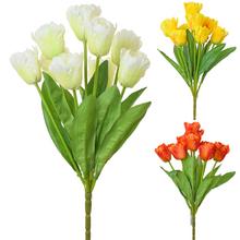 KYTICE TULIPÁN MIX 4FARIEB - Tulipán | FLORASYSTEM