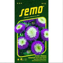 Astra ČÍNSKÁ Pomponi BLUE AND WHITE 0,5g - SEMO | FLORASYSTEM