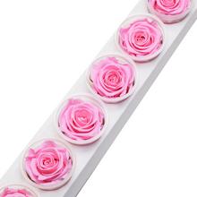 Ruža preparovaná 6,5cm BRIDAL PINK /ks - ruže | FLORASYSTEM