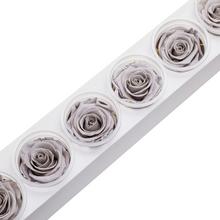 Ruža preparovaná 6,5cm EARLY GREY /ks - ruže | FLORASYSTEM