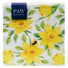 SDL121700 Daffodils IN BLOOM - Ubrousky | FLORASYSTEM