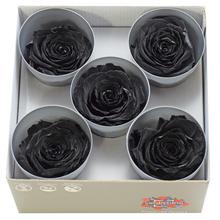 Ruža preparovaná 7cm BLACK /ks - bal. 5 ks - ruže | FLORASYSTEM