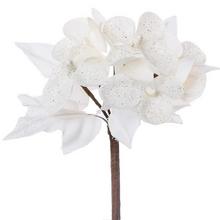 KS větvička - Ks květ vánoční | FLORASYSTEM