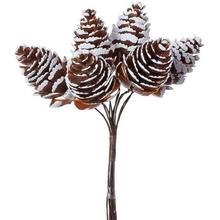 Zápichy. KOBLIHY NATUR. S / 6 - Plody vánoční | FLORASYSTEM