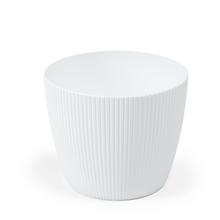 755 OBAL MAGNOLIA JUMPER BIELY 26xV21CM - Okrúhly dizajnový | FLORASYSTEM