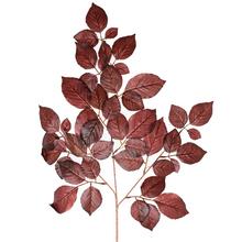 Větve FICUS ČERVENÝ 56cm - Větev podzim | FLORASYSTEM