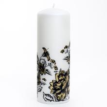 PIVONIA VAL.70/200 BIELY MET.MATNÝ - Květiny | FLORASYSTEM