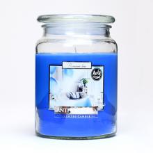 VOŇ.V SKLE S VRCHN.ANTITABAC/SND99-69/500GR 15cm - FLORASYSTEM