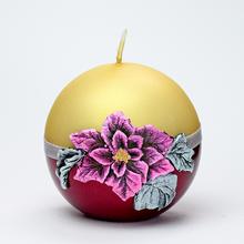 HVĚZDA BETL.G.80 EC-BOR. - Vianočný kvet | FLORASYSTEM