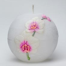 ORCHID. KOULE 100 bílá-růžová - Kvety | FLORASYSTEM