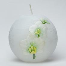 ORCHID. KOULE 100 BÍLÁ-OLIVA - FLORASYSTEM