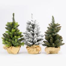 Stromky zatížené - Stromky vánoční | FLORASYSTEM
