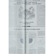 FÓLIA BAL. PAPIER S/20 ŠEDÁ 60x60CM - FLORASYSTEM