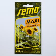 SLUNEČNICE ROČNÍ KONG F1 1,1g - FLORASYSTEM