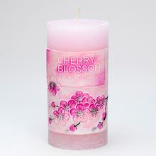 CHERRY BLOSSOM VAL.70/140 - Květiny | FLORASYSTEM