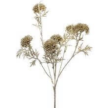 KONÁR CHAMP. 50CM - Větev zimní | FLORASYSTEM