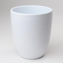 OBAL ORCH.BIELY 12CM - FLORASYSTEM