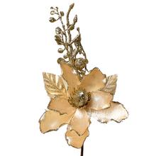 KS VIAN MAGNÓLIA CHAMPAGNE - FLORASYSTEM