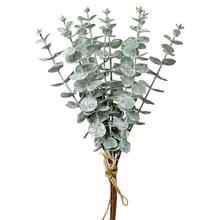 ZÁPICH ZVAZOK EUCALYPTUS GLIT.33CM - Zeleň vánoční | FLORASYSTEM