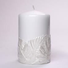 MONSTERA NEW VAL. 8x13 BIELY - FLORASYSTEM