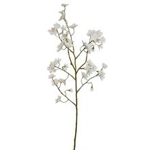 KONÁR ČEREŠŇA KRÉM RUŽ.  75CM - Větev květ | FLORASYSTEM