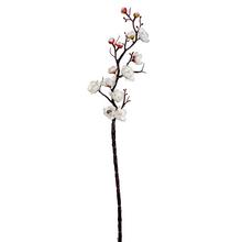 KONÁR SLIVKA BIELA 60CM - Větev květ | FLORASYSTEM