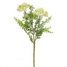 KS SEDUM BIELE 42CM - Česnek | FLORASYSTEM