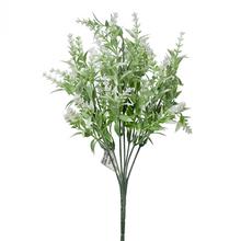 ZELEŇ HNĚDO ZELENÁ - FLORASYSTEM