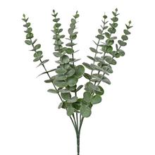 ZÁPICH EUCALYPTUS ZELENÝ 39CM - List | FLORASYSTEM