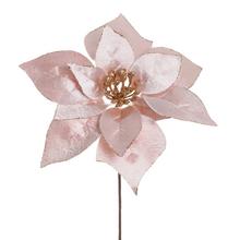 VIAN. RUŽA/ POINSETIARUŽOVÁ 20CM - Ks květ vánoční | FLORASYSTEM