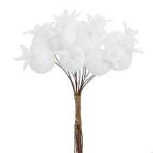 ZÁPICH ŠÍPKY BIELE GLITER S/12 10CM - Bobule bílé | FLORASYSTEM