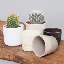 Obal kaktus - Keramika | FLORASYSTEM