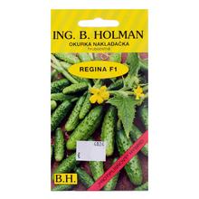 OKURKY NAKL REGINA F1 2,5g - FLORASYSTEM