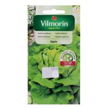 SALÁT HLÁVKOVÝ APPIA - FLORASYSTEM