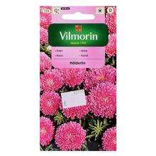 Astra ČÍNSKÁ trpaslík HOLDERIN 0,5g - FLORASYSTEM