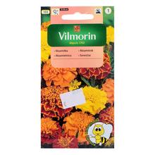 Aksamitník rozkladitý směs 1g - Květiny letničky | FLORASYSTEM