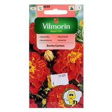 Aksamitník rozkladitý BONITA CARMEN 1g - Květiny letničky | FLORASYSTEM