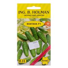 OKURKY NAKL SVATAVA F1 2,5g - ostatné | FLORASYSTEM