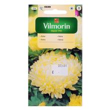 ASTRA čín.pivon.krem..SONATA 0,5g - Květiny letničky | FLORASYSTEM